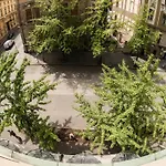 City Hotel 3*